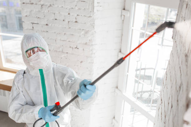 Reliable Freedom, PA Mold Inspection, Removal & Remediation Solutions